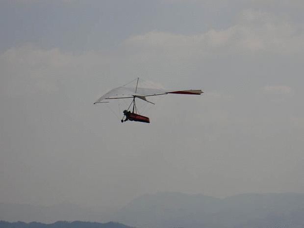 Click on the photo for the original