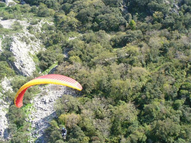 Click on the photo for the original