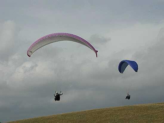 Click on the photo for the original