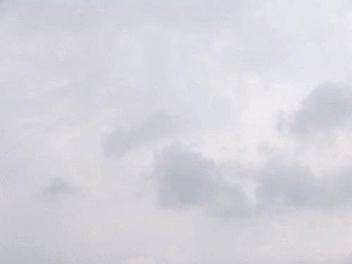 Click on the photo for the original