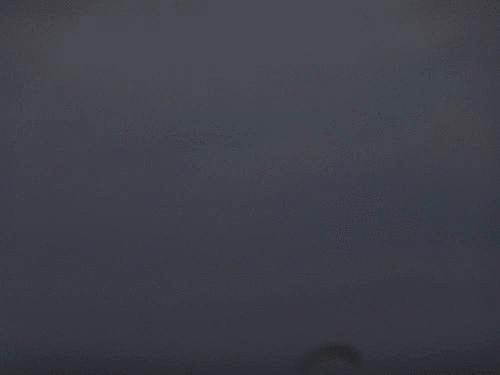 Click on the photo for the original
