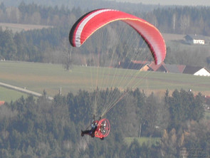 Lauffaule Flieger